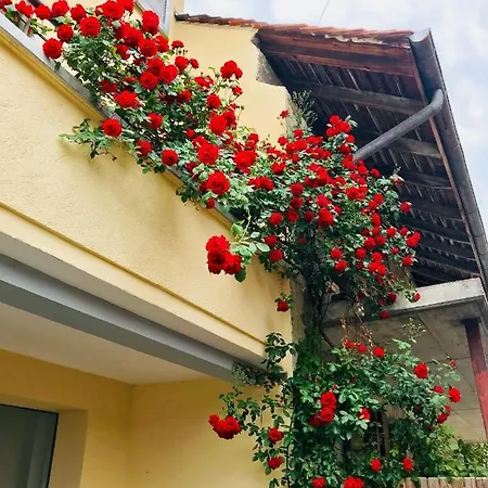 D La Tour Bed & Breakfast Avenches